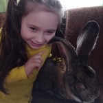 Pet of the Day - 24th April 2021 - Peter