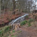 Photo of the day - 29th April 2021 - Waterfall