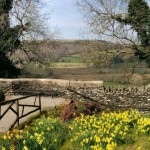 Photo of the day - 3rd May 2021 - Cumbria in spring