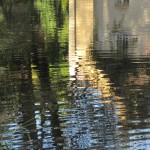 Photo of the day - 6th May 2021 - Highfields lake, Dursley