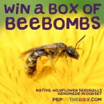 COMPETITION: WIN a box of 5 Native Wildflower Beebombs - worth £29.99
