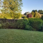 Photo of the day - 9th June 2021 - My Garden
