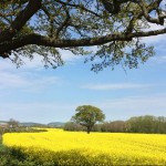 Photo of the Day - 28th May 2020