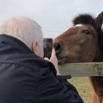 Photo of the day - 8th July 2021 - Visiting a horse sanctuary