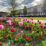 Photo of the day - 10th July 2021 - Imperial Gardens