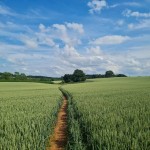 Photo of the day - 13th July 2021 - Walk in the countryside