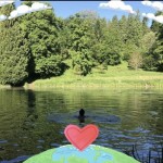 Photo of the day - 14th July 2021 - Sunday morning dip
