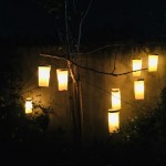Photo of the day - 18th July 2021 - Lanterns tree