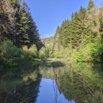 Photo of the Day - 4th June 2020