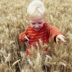 Photo of the day - 13th August 2021 - Field Study