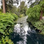 Photo of the day - 14th August 2021 - Weston Park
