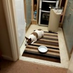 Photo of the day - 4th September 2021 - An Empty Dish