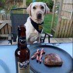 Dog of the Day - 30th May 2020 - 3rd Birthday!