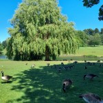 Photo of the day - 7th September 2021 - HIMLEY HALL PARK