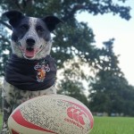 Photo of the day - 15th September 2021 - Gizmo
