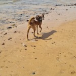 Photo of the day - 26th September 2021 - On the beach
