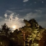 Photo of the day - 2nd October 2021 - Moon