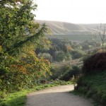 Photo of the day - 26th October 2021 - One beautiful Autumn day in October