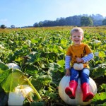 Photo of the day - 31st October 2021 - Pumpkin picking 