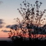 Photo of the day - 2nd November 2021 - View over Tameside, Manchester