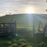 Photo of the day - 15th November 2021 - Sunrise