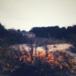Photo of the day - 25th November 2021
