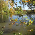 Photo of the day - 2nd December 2021 - Pittville Park