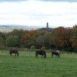 Photo of the day - 13th December 2021 - Autumn in the countryside