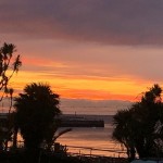 Photo of the day - 21st January 2022 - Torquay Harbour 