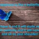 Happiness is like a butterfly...