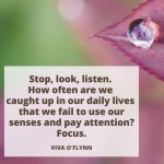 Stop, look, listen...