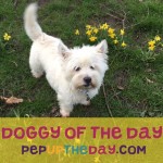 WIN BY SENDING US YOUR PHOTOS to feature as Dog of the Day