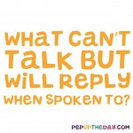 Riddle: What can’t talk but will reply when spoken to?