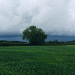 Photo of the Day - 2nd July 2020