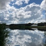 Photo of the Day - 6th July 2020