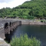 Photo of the Day - 8th July 2020