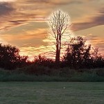 Photo of the Day - 14th July 2020
