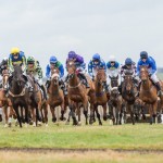 COMPETITION - Andoversford Races - WIN one of two Reserved Car Labels, each including admission for up to 4 adults, worth £65 each in 2021!