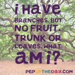 Riddle: I have branches, but no fruit, trunk or leaves. What am I?