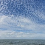Photo of the Day - 20th July 2020