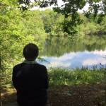 Photo of the Day - 23rd July 2020