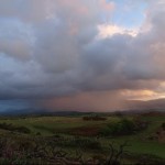 Photo of the Day - 25th July 2020