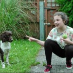 Dog of the Day - 13th July 2020