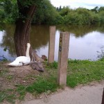 Photo of the Day - 2nd August 2020