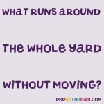 Riddle: What runs around the whole yard without moving?