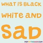 Riddle: What’s black and white and blue?