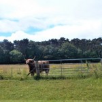 Photo of the Day - 29th August 2020