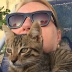 Cat of the Day - 13th August 2020 - Mr T