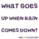 Riddle: What goes up when rain comes down?