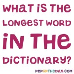 Riddle: What is the longest word in the dictionary?